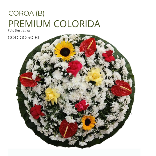 COROA(B) PREMIUM COLORIDA