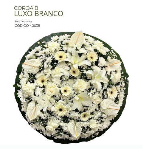 COROA B LUXO BRANCO