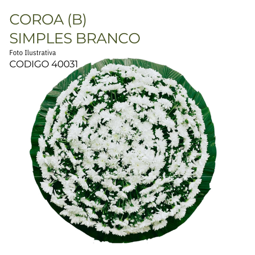 COROA (B) SIMPLES BRANCO