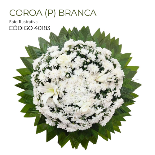 COROA(P)BRANCA